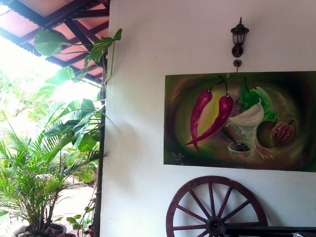 Peacock Wings Guest Hotel Mirissa Exterior foto