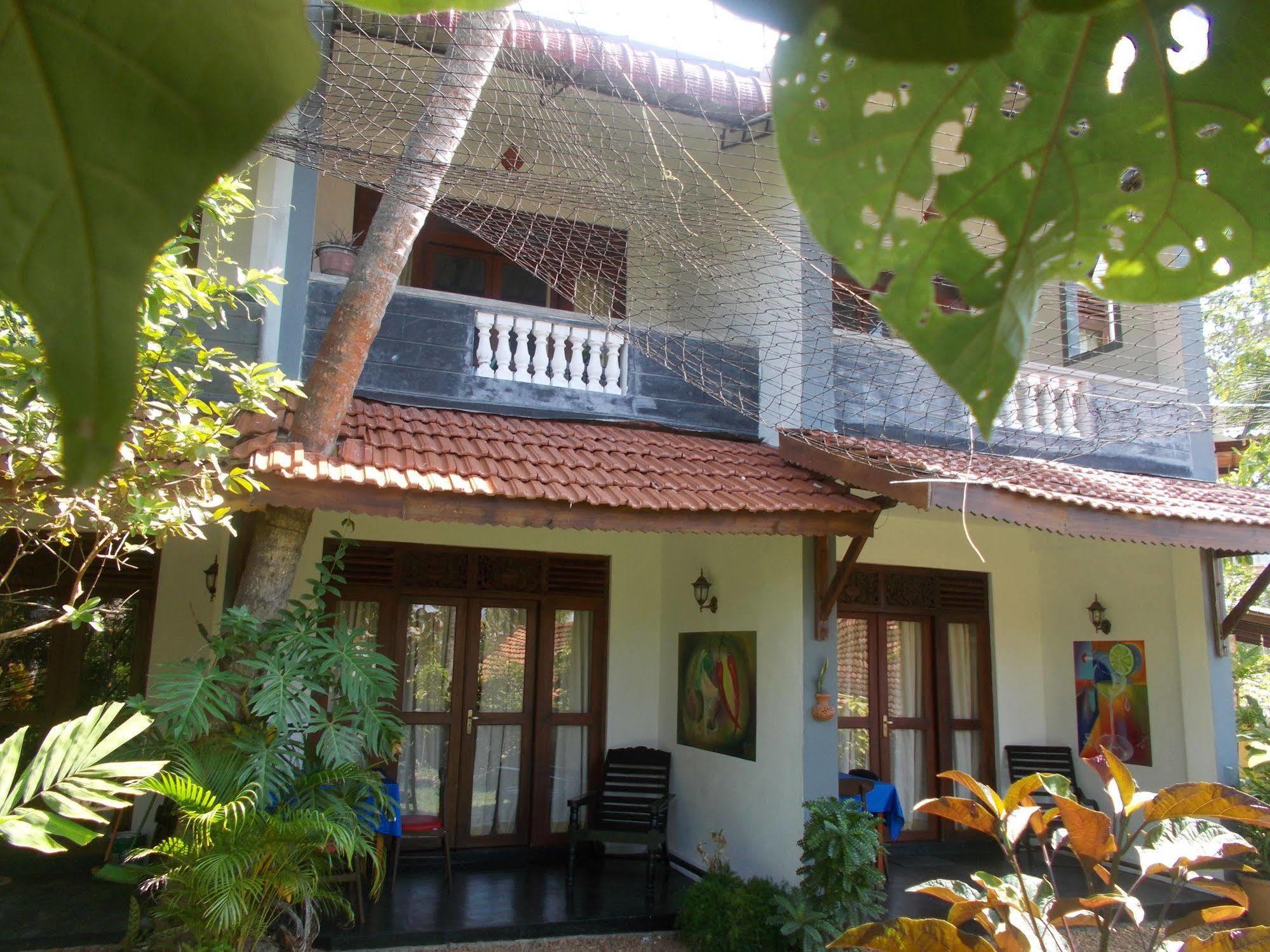 Peacock Wings Guest Hotel Mirissa Exterior foto